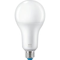 WiZ 929003500001, Lampe à LED 