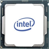 Intel® Xeon E-2124G processeur 3,4 GHz 8 Mo Smart Cache Boîte socket 1151 processeur Intel® Xeon®, LGA 1151 (Emplacement H4), 14 nm, Intel, E-2124G, 3,4 GHz, processeur en boîte