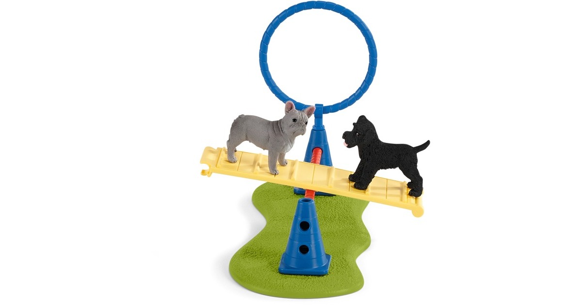 Schleich 42536 Divertissement Pour Chiens – Agility Chien Avec Rosi Et Bobby, Dès 3 Ans, Figurines Détaillées Farm World