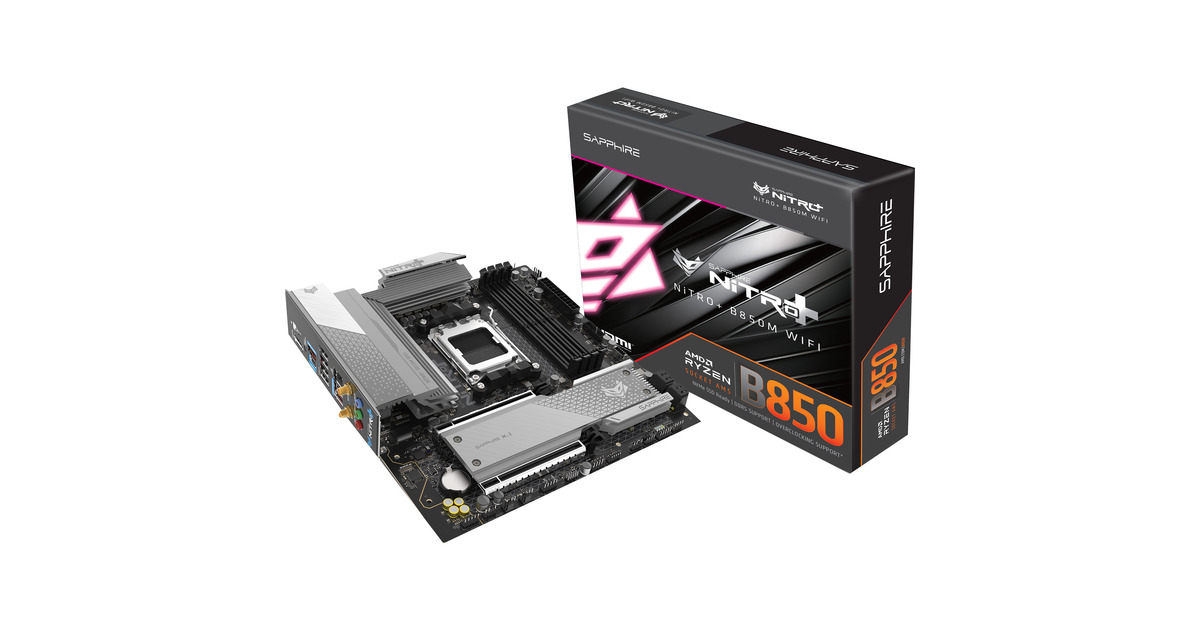 Carte Mère Sapphire PE-AM2RS690MV Socket AM2 D'occasion Testée OK