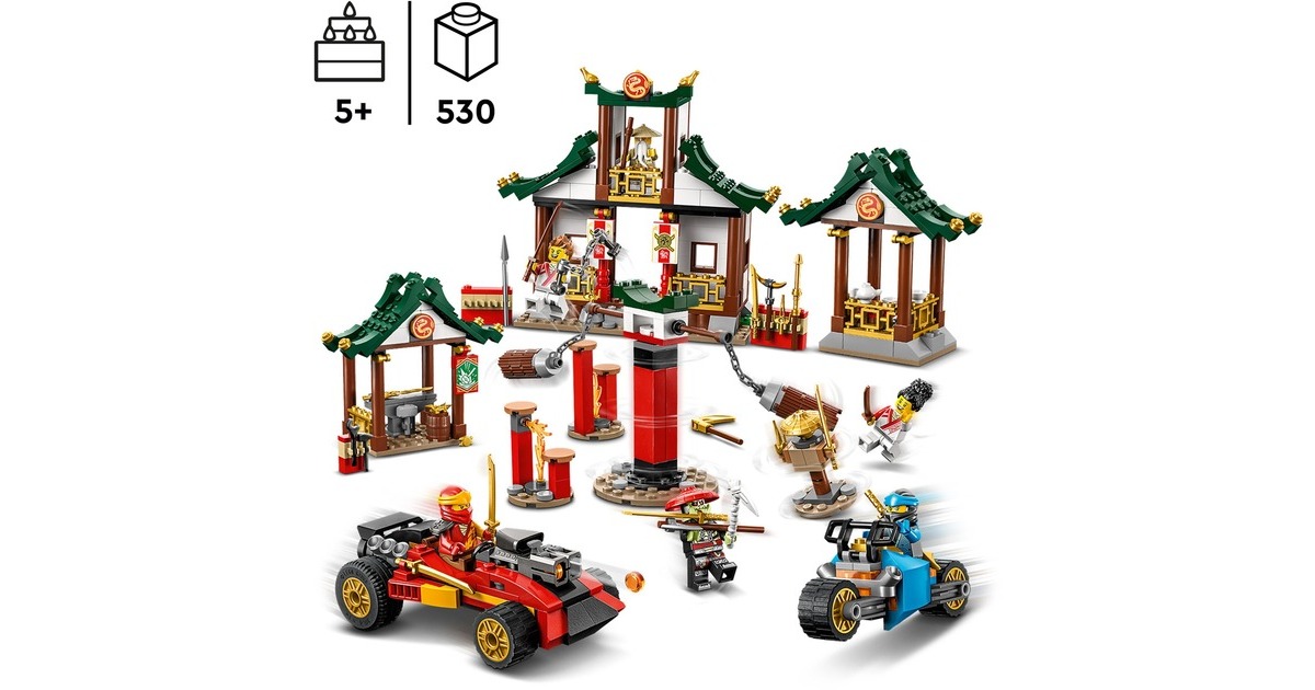 Boîte de tri LEGO Ninjago, Boîte de rangement - conteneur à 11  compartiments, rouge transparent 40841733 - Cdiscount Jeux - Jouets