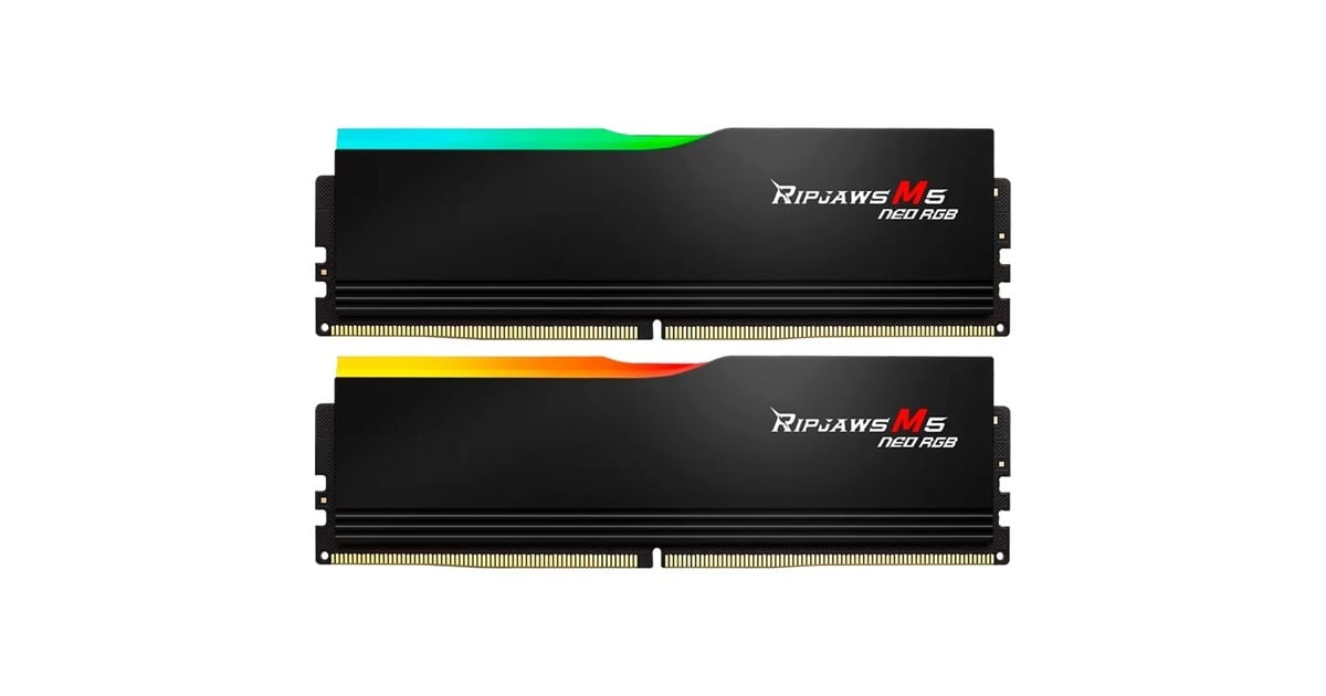 G.Skill 64 Go DDR5-6000 kit, Mémoire vive Noir, F5-6000J3636F32GX2