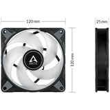 ARCTIC P12 PWM PST RGB 0dB, Ventilateur de boîtier Noir/transparent