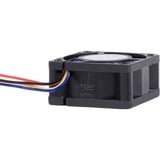 Alphacool 24823 système de refroidissement d’ordinateur Universel Ventilateur 4 cm Noir 1 pièce(s), Ventilateur de boîtier Noir, Ventilateur, 4 cm, 400 tr/min, 10000 tr/min, 36 dB, 20,39 m³/h