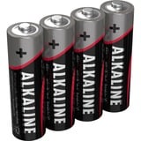 Ansmann 5015563 pile domestique Batterie à usage unique Alcaline Batterie à usage unique, Alcaline, Noir, Gris, 14,5 mm, 14,5 mm, 50,5 mm