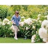 Bosch BOSCH EasyGrassCut 18V-260 (2x2.0Ah), Coupe-bordures Vert/Noir, Coupe-bordures, 26 cm, Fil de nylon, Poignée rectangulaire, 1,6 m, Noir, Vert