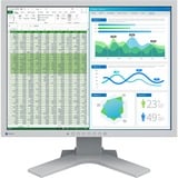 EIZO  21.3" Moniteur  Gris