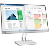 Lenovo  24.5" Moniteur  Gris