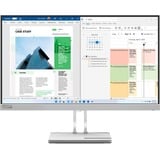 Lenovo  24.5" Moniteur  Gris