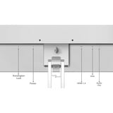 Lenovo  24.5" Moniteur  Gris