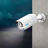 Reolink B4K11, Caméra de surveillance Bordeaux