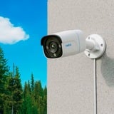 Reolink P330 Balle (forme) Caméra de sécurité IP Intérieure et extérieure 3840 x 2160 pixels Mur, Caméra de surveillance Blanc/Noir, Caméra de sécurité IP, Intérieure et extérieure, Avec fil, Google Assistant, Mur, Blanc