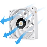 Thermaltake TOUGHFAN EX12 White – Swappable Edition, Ventilateur de boîtier Noir