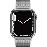 Apple Smartwatch Argent/Argent