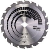 Bosch 2 608 640 691 lame de scie circulaire 31,5 cm 1 pièce(s) Bois de construction, 31,5 cm, 3 cm, 2,2 mm, 3,2 mm, 7/42