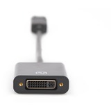 Digitus Adaptateur / Convertisseur DisplayPort > DVI Noir