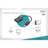 Digitus Adaptateur / Convertisseur DisplayPort > DVI Noir