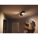 Philips Hue 929003808401, Lumière LED Noir