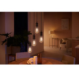 Philips Hue Ampoule à filament White Ambiance E27 Giant Edison ST72 550 lm, Lampe à LED 