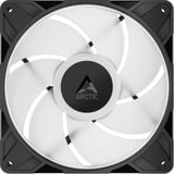 ARCTIC P14 Pro A-RGB, Ventilateur de boîtier Noir, 3 pièces