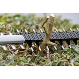 Bosch 06008C9001, Taille-haies Bleu