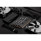 Corsair mémoire vive Noir, CMHLEKIT2K