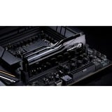 G.Skill 48 Go DDR5-9000 Kit, Mémoire vive Noir, F5-9000C4256H24GX2-TZ5CK, Trident Z5 CK, XMP