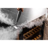 Hisense Dampfreiniger HSSC07A, Nettoyeur vapeur Noir