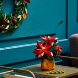 LEGO Icons - L’étoile de Noël, Jouets de construction 10370