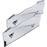 Patriot VX548G8640CK, Mémoire vive Argent