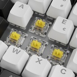 Sharkoon SKILLER SGK50 S3 RGB clavier gaming mécanique Blanc, Layout PT, Gateron Yellow, 75%