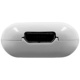 Shelly La pilule, Module d'extension Blanc