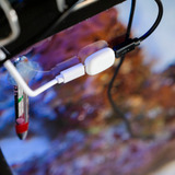 Shelly La pilule, Module d'extension Blanc