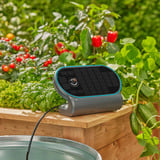 GARDENA Système d'arrosage solaire AquaBloom L Set, Contrôle d'irrigation Gris/Turquoise