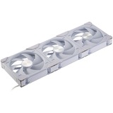 Phanteks D30-140 PWM Regular, Ventilateur de boîtier Blanc, 3 pièces, connecteur de ventilateur PWM à 4 broches