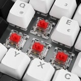 Sharkoon clavier gaming Blanc, Layout DE, Gateron Red