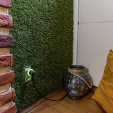 Shelly BUSHWB1, Bundle 