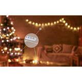 Shelly BUSHWB1, Bundle 