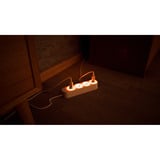 Shelly Pack de Noël 1, Bundle 