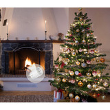 Shelly Pack de Noël 1, Bundle 