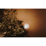 Shelly Pack de Noël 1, Bundle 