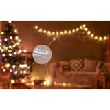 Shelly Pack de Noël 1, Bundle 