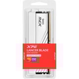 ADATA Lancer Blade module de mémoire 16 Go 1 x 16 Go DDR5 288-pin DIMM, Mémoire vive Blanc, 16 Go, 1 x 16 Go, DDR5, 6400 MHz, 288-pin DIMM