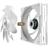 ASUS ROG Eurux GR120 ARGB ventilateur de boîtier Blanc, 122 x 120 x 30 mm