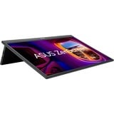 ASUS ZenScreen MB17AHG écran plat de PC 43,9 cm (17.3") 1920 x 1080 pixels Full HD LCD Noir Moniteur Noir, 1x HDMI, 2x USB-C, 144 Hz, 43,9 cm (17.3"), 1920 x 1080 pixels, Full HD, LCD, 5 ms, Noir