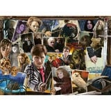 Ravensburger Puzzle Harry Potter contre Voldemort 