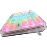 Sharkoon Requin Cristal, clavier gaming Blanc, Layout DE, KTT
