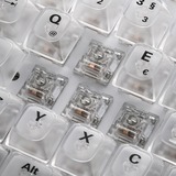 Sharkoon Requin Cristal, clavier gaming Blanc, Layout DE, KTT