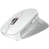 CHERRY STREAM MOUSE COMFORT, Souris Blanc, Droitier, Optique, RF sans fil, 4000 DPI, Gris, Blanc