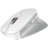 CHERRY STREAM MOUSE COMFORT, Souris Blanc
